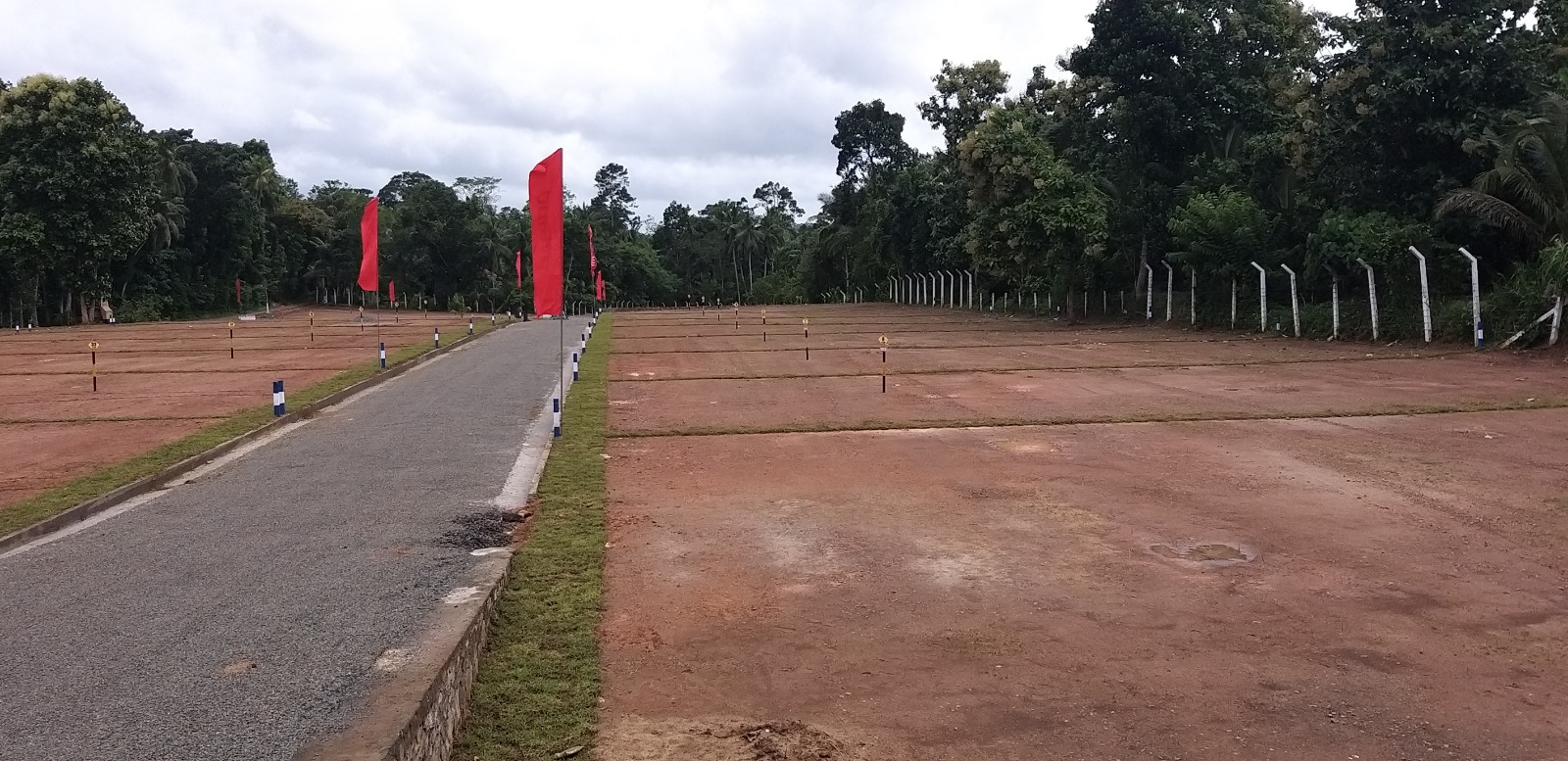 WhatsApp Image 2026-02-24 at 17.06.17 (1)